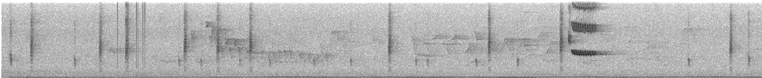 vlhovec červenokřídlý [skupina phoeniceus] - ML621146777