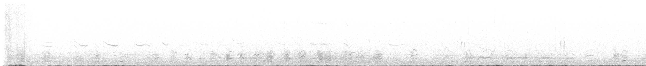 lyskonoh úzkozobý - ML621146846