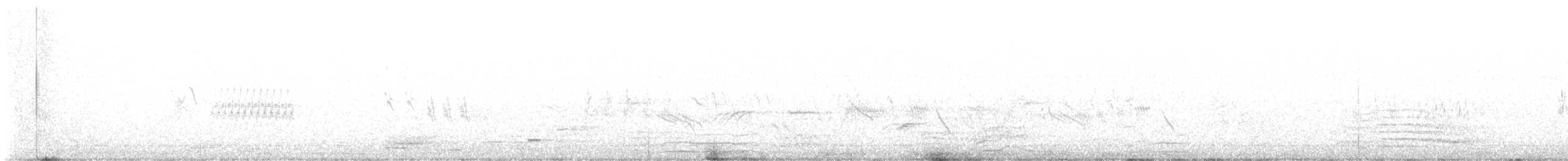 Huş İsketesi (rostrata/islandica) - ML621146851