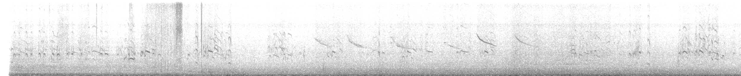 Antillenseeschwalbe - ML621146893