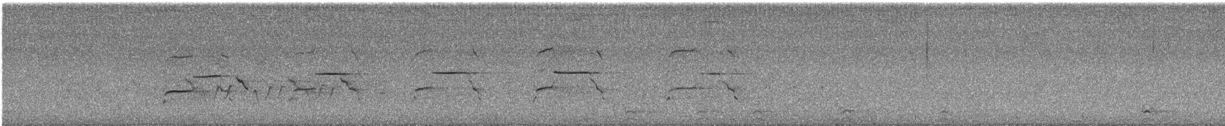 Краснохвостый канюк (borealis) - ML621147481