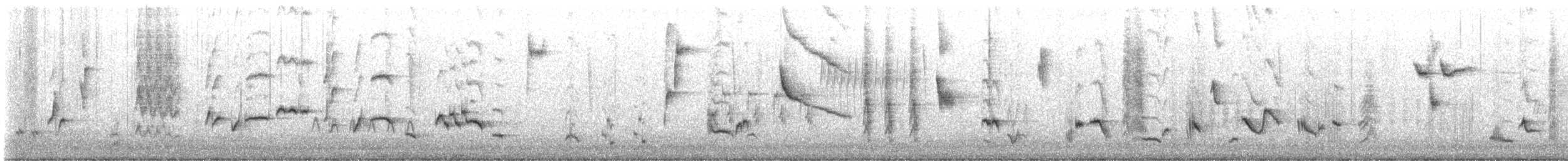 Кошачий пересмешник - ML621148451