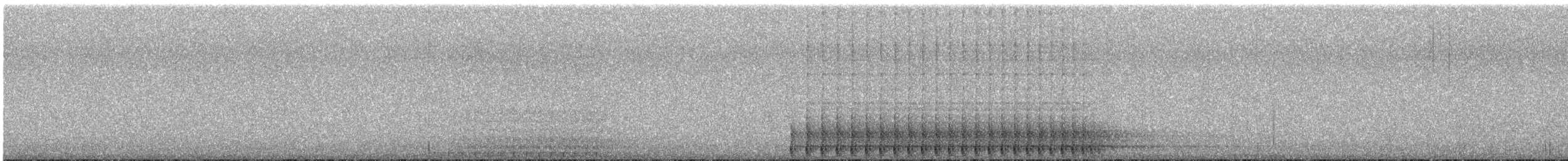 Fichtenspecht - ML621149937