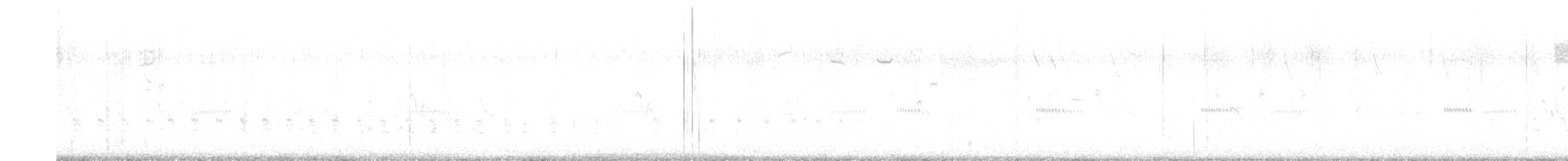 Rascón de Ridgway (levipes) - ML621150605