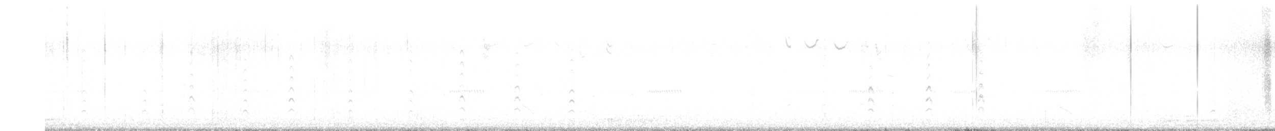 svartkronestylteløper - ML621150744