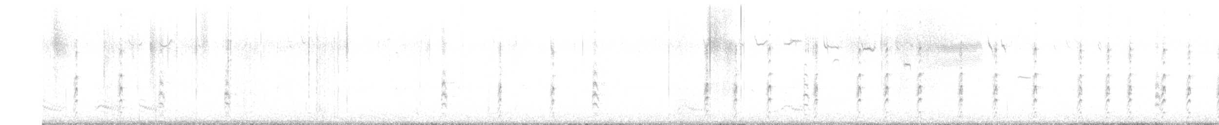 svartkronestylteløper - ML621150875