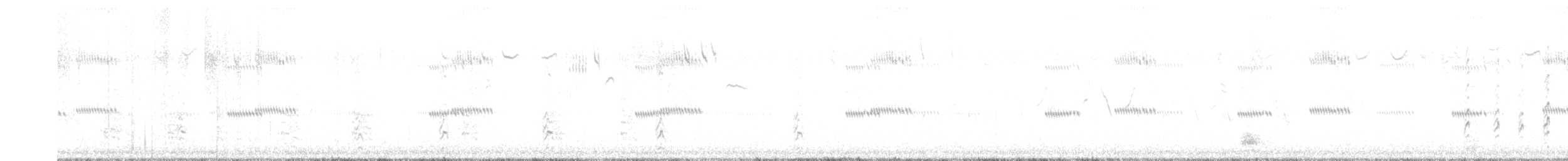 svartkronestylteløper - ML621150876