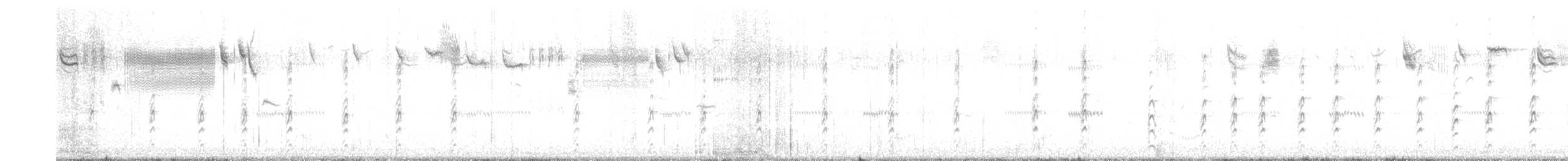 Savannah Serçesi [guttatus grubu] - ML621151013