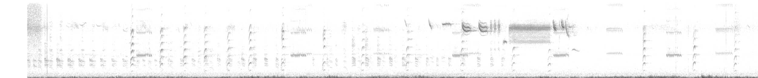 Rascón de Ridgway (levipes) - ML621151043