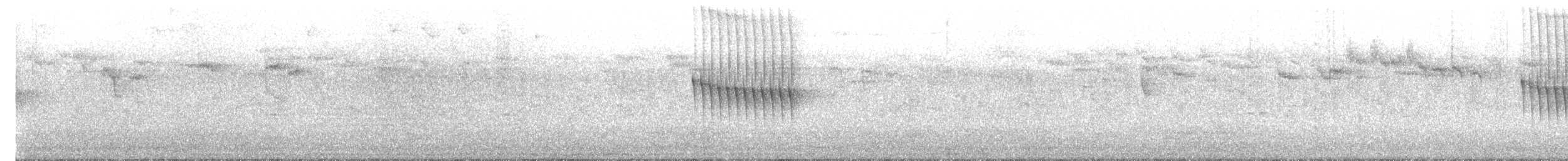Stachelschwanzschlüpfer - ML621151681