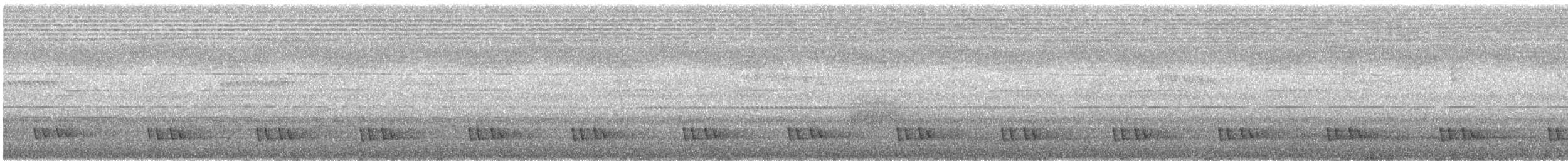 Kara Kulaklı Barbet - ML621151899