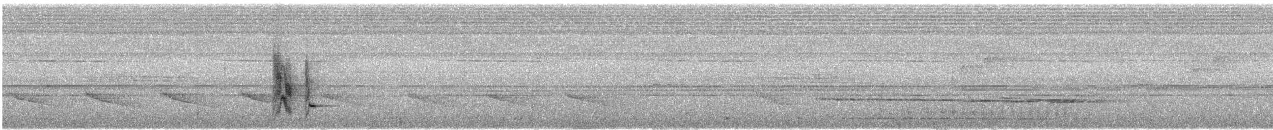 Жемчужная веерохвостка - ML621151946