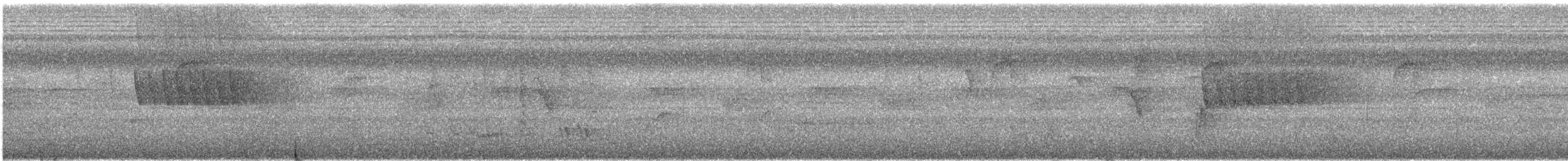 Platylophe longup - ML621151963