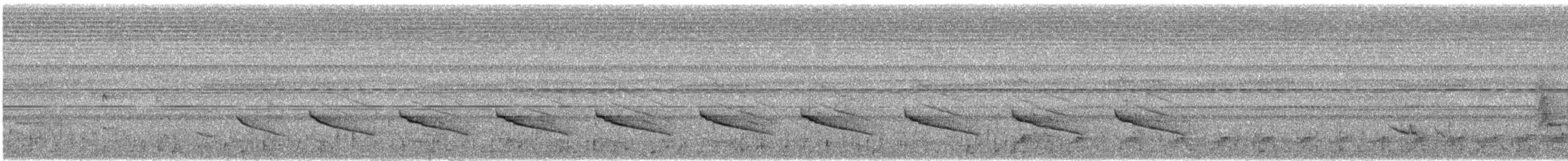 Kısa Kuyruklu Ardıçesmeri - ML621152053
