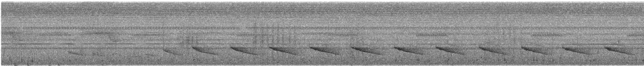 Короткохвостый шелкопёр - ML621152054