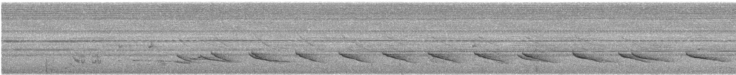 Короткохвостый шелкопёр - ML621152055