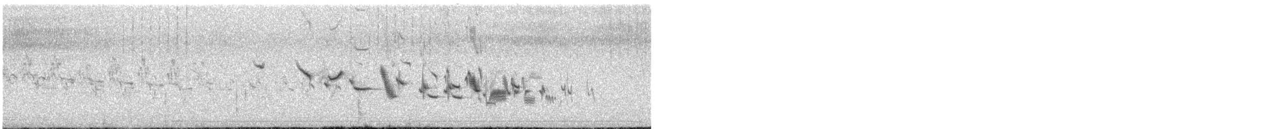 Plectrophane à ventre noir - ML621152432