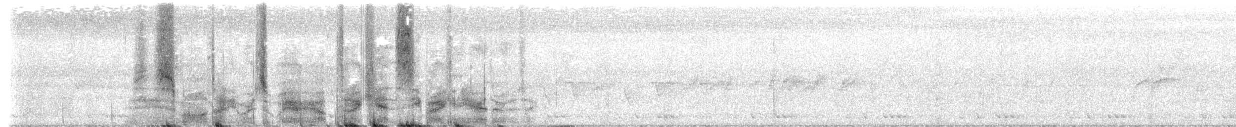 holub světleoký - ML621152740