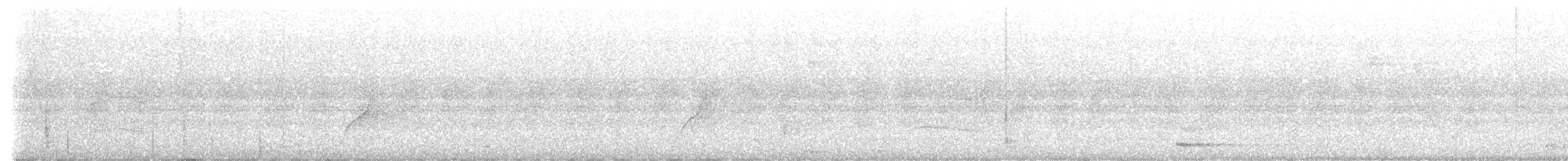 holub světlebřichý - ML621152747