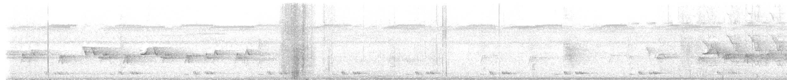 holub světlebřichý - ML621152749