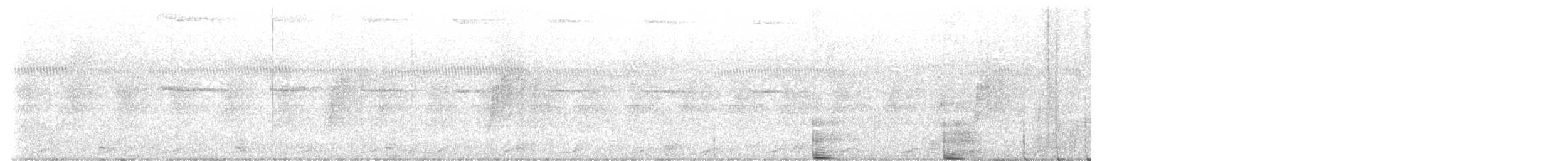 holub světlebřichý - ML621152751