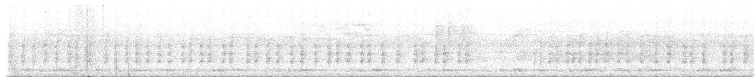 holub světlebřichý - ML621152752
