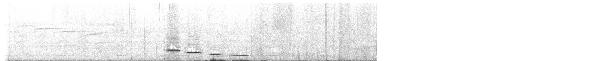 holub světlebřichý - ML621152753