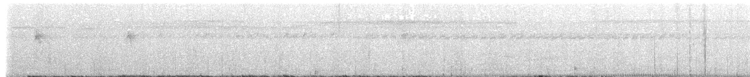 holub světlebřichý - ML621152755