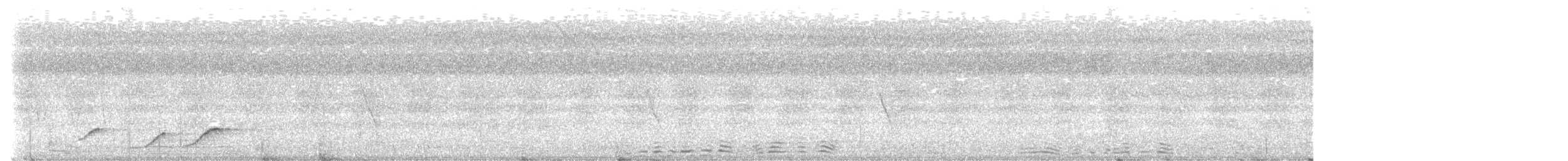 holub světlebřichý - ML621152756