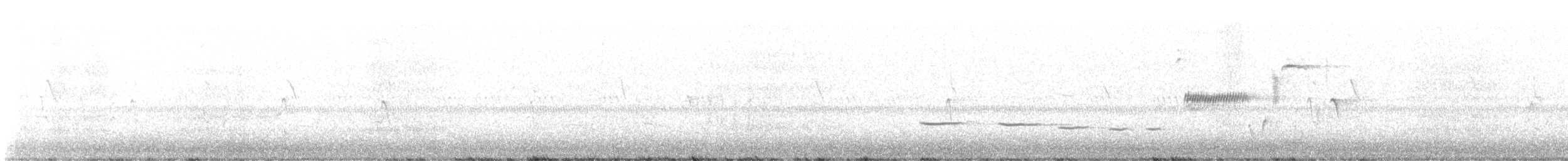 גיבתונית רוננת - ML621153540