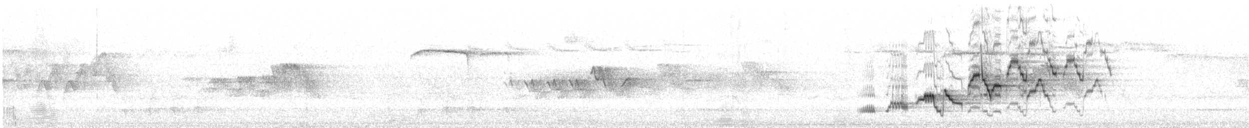 brunkinnskogtrost (swainsoni gr.) - ML621154752