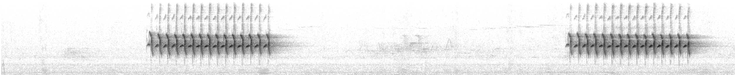 ユキヒメドリ（hyemalis／carolinensis） - ML621154774