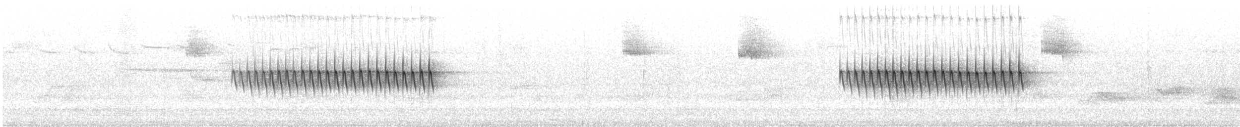 Kara Gözlü Junko (hyemalis/carolinensis) - ML621154775