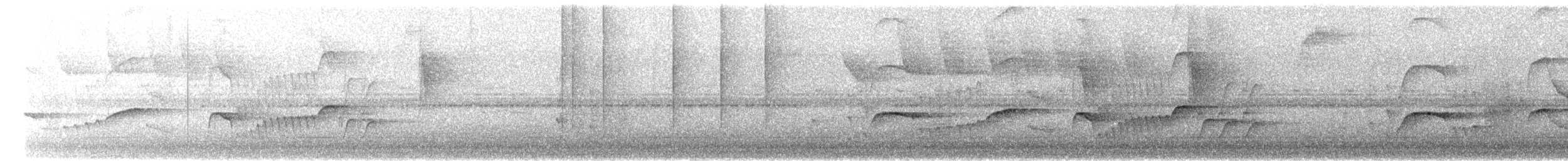 Atlantik Karınca Tiranı - ML621155306