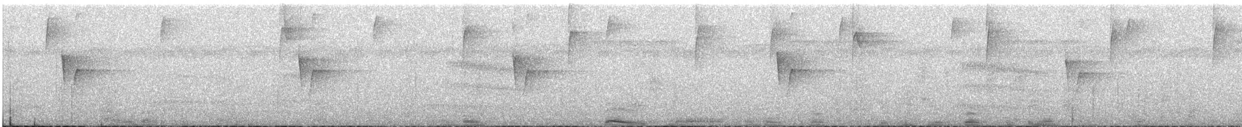 Painted Tody-Flycatcher - ML621155406