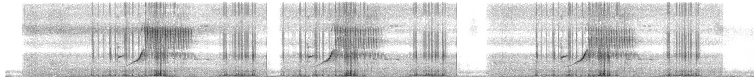Тауї плямистий [група oregonus] - ML621155563