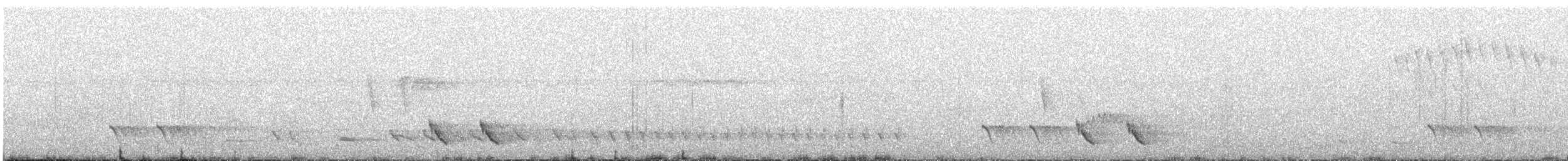 Белоухий крапивник - ML621155604