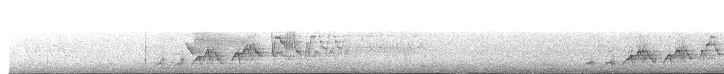 Дрізд-короткодзьоб плямистоволий - ML621155923
