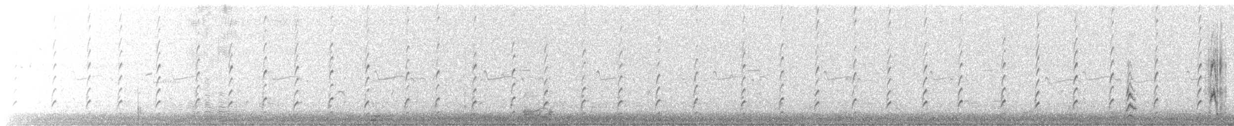 svartkronestylteløper (mexicanus) - ML621156055
