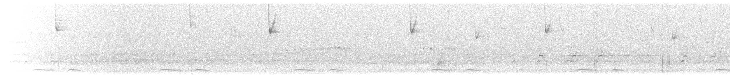 svartkronestylteløper (mexicanus) - ML621156666