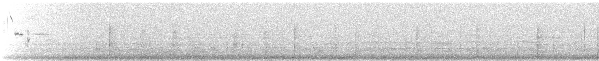 svartkronestylteløper (mexicanus) - ML621156667