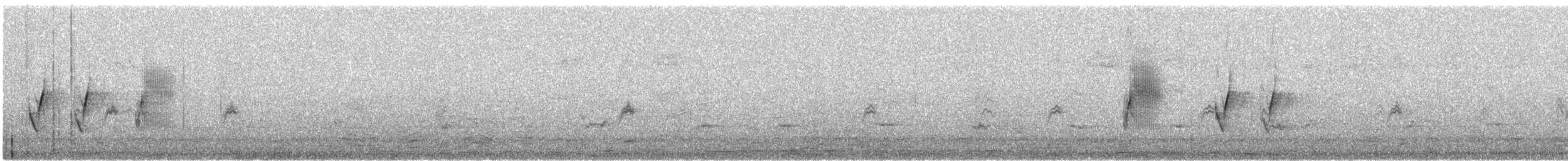 Тауї плямистий - ML621156907