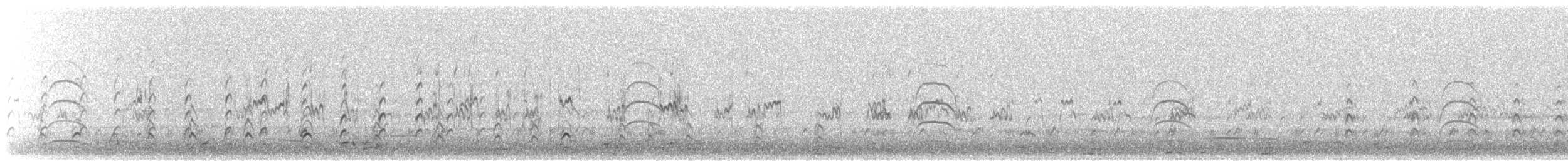 svartkronestylteløper (mexicanus) - ML621157689