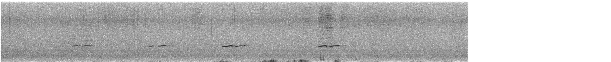 Gray-tailed Tattler - ML621157933