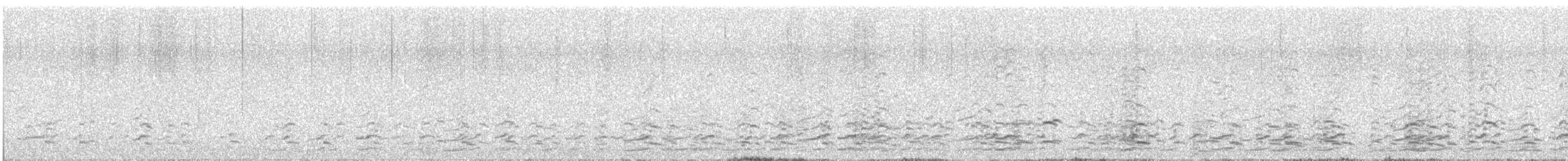 Малая канадская казарка (leucopareia) - ML621157947