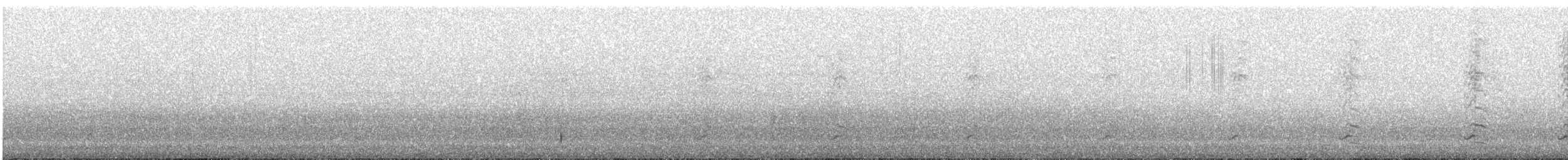 Малая канадская казарка (leucopareia) - ML621157963