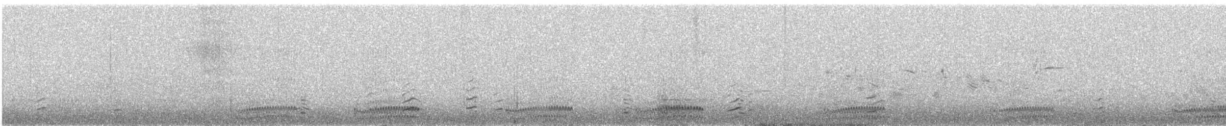Rock Sandpiper (Aleutian) - ML621158138