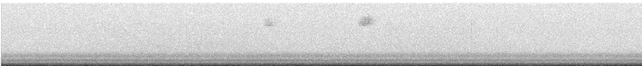 Weißbrauendrossel - ML621158183
