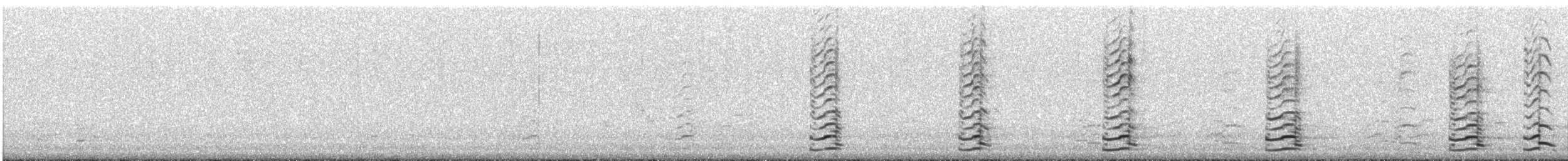 Zwergkanadagans (leucopareia) - ML621158297