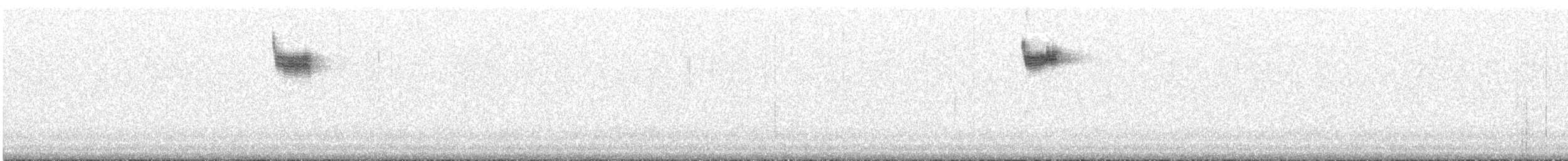 Weißbrauendrossel - ML621158300